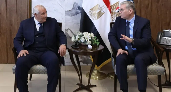 وزير البترول يستقبل محافظ الوادي الجديد