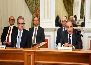 وزير الخارجية والهجرة يشارك في ملتقى الأعمال المصري-الجابوني لتعزيز التعاون الاقتصادي