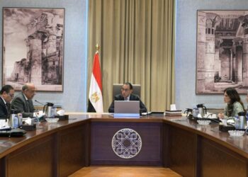 رئيس الوزراء يُتابع الموقف التنفيذي لعدد من مشروعات قطاع الكهرباء