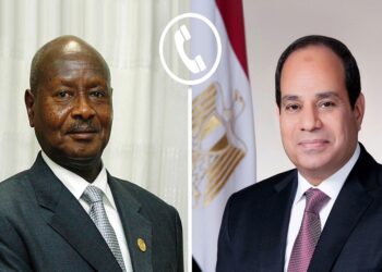 الرئيس السيسى يؤكد على الحاجة لصياغة سياسات أفريقية تدعم الصناعات الزراعية