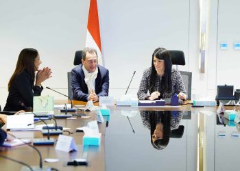 وزيرة التخطيط تستقبل السفير الفرنسي ومسئولي الوكالة الفرنسية للتنمية لمناقشة ملفات الشراكة الاقتصادية الجارية بين البلدين