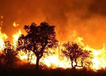 الحرائق تهدد المدن والصحاري.. آثار تغير المناخ تجتاح الشرق الأوسط