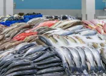 أسعار الأسماك في سوق العبور اليوم الإثنين