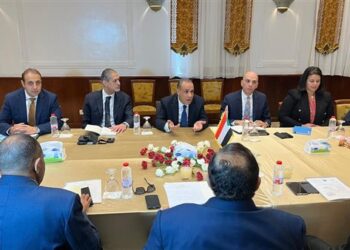 جلسة مباحثات رسمية بين وزير الخارجية والهجرة ونظيره السودانى