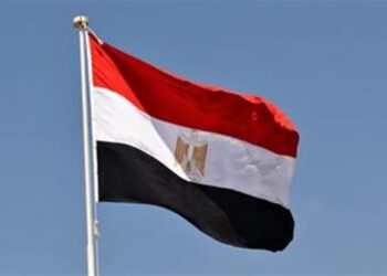 مصر تدين حادث الدهس فى مدينة “نيو أورليانز” بالولايات المتحدة الأمريكية