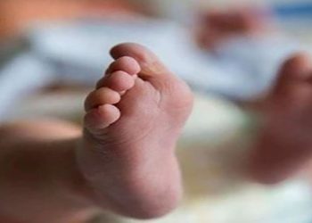 “الطفولة والأمومة” يتدخل في واقعة العثور على طفلة رضيعة في منور عقار بشبرا الخيمة