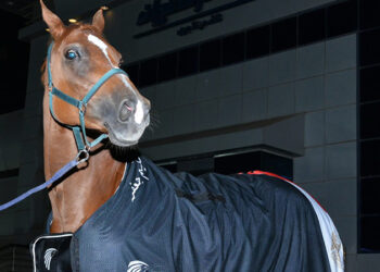 مصر للطيران الناقل الرسمي للبعثة المصرية المشاركة في بطولة قطر الدولية للفروسية 2025