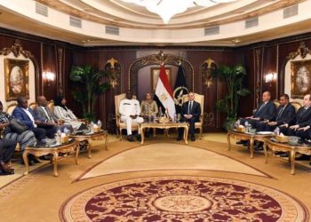 تفاصيل لقاء وزير الداخلية بوزير الأمن ببوركينا فاسو