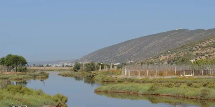 الجفاف يدق ناقوس الخطر في لبنان بسبب تغير المناخ