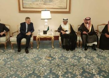 الفريق أسامة ربيع يلتقي الأمين العام للمنظمة البحرية الدولية IMO لبحث تأثيرات تطورات الأوضاع في منطقة البحر الأحمر