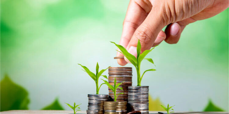 أفضل 10 شهادات ادخار بعائد شهري في مصر قبل خفض الفائدة