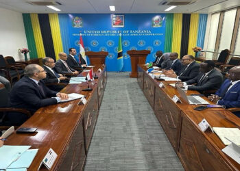 جلسة مباحثات لوزير الخارجية والهجرة مع نظيره التنزانى