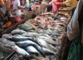 أسعار الأسماك في سوق العبور اليوم الأربعاء