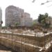 اقتراب حدائق الحيوان والأورمان من الافتتاح