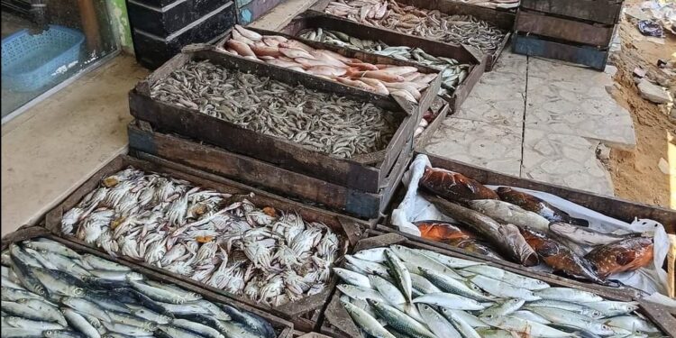 أسعار الأسماك في سوق العبور اليوم الأربعاء