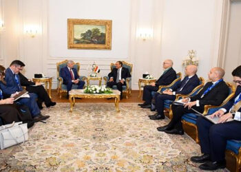 وزير الخارجية والهجرة يستقبل مدير المركز الدولي لتطوير سياسات الهجرة