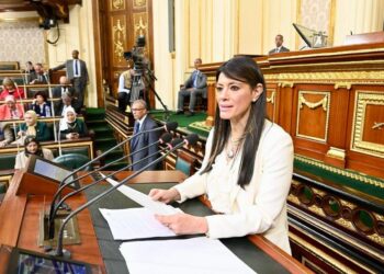 المشاط: خطة العام القادم تستهدف 8.5 مليار دولار قيمة الصادرات الرقمية السنوية