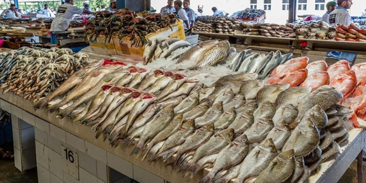 أسعار الأسماك في الأسواق اليوم السبت