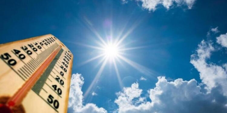 طقس غد الأحد.. مائل للحرارة نهارا وشبورة