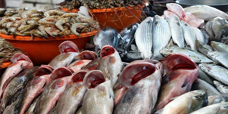 أسعار الأسماك في الأسواق اليوم الخميس