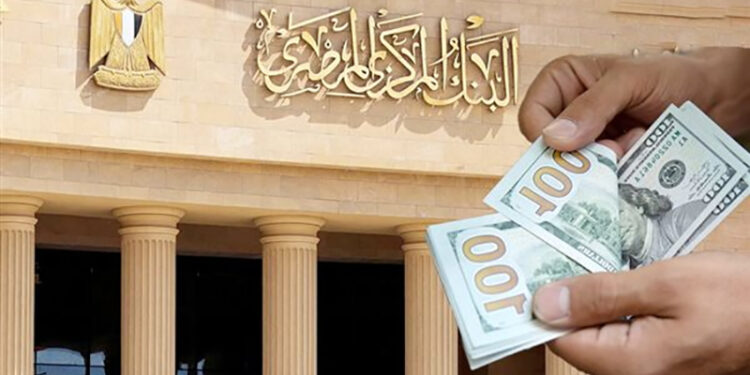 المركزي: 20.0 مليار دولار حصيلة تحويلات المصريين بالخارج خلال أول 7 أشهر من 2024-2025