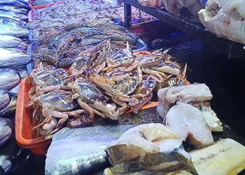 رسوم ترامب الجمركية تفسد سوق المأكولات البحرية في الهند