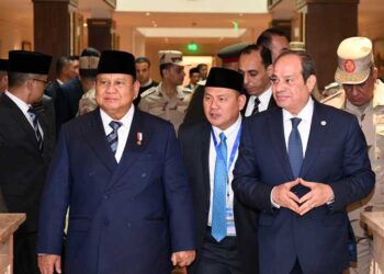 الرئيس السيسى ونظيره الإندونيسى يؤكدان ضرورة بدء عملية إعادة إعمار غزة دون تهجير