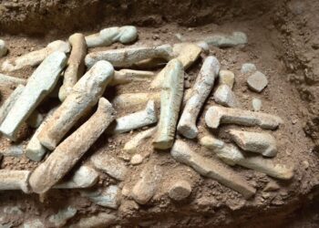 الآثار: الاكتشافات الأخيرة تلقى الضوء على جوانب مهمة من الحياة اليومية فى مصر القديمة