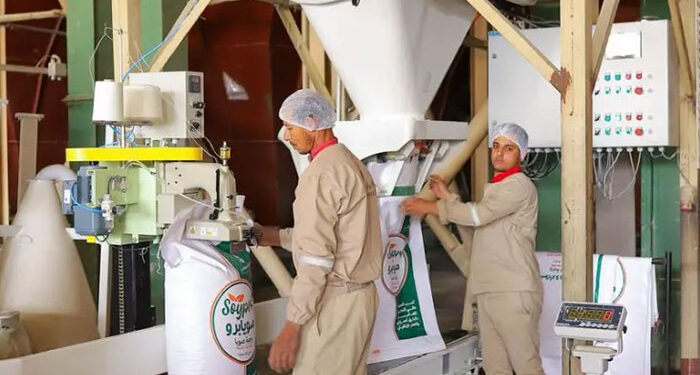 كايرو ثري إيه أول شركة مصرية تصدر الصويا عالية الطاقة إلى دول الخليج