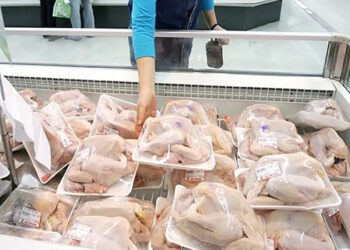 وزير التموين: استمرار ضخ الدواجن المجمدة بالمجمعات الاستهلاكية بـ 125 جنيه للكيلو