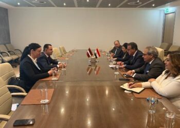 وزير الصحة يبحث مع ممثلي شركتي «فيلبس» و«سيمنز» تعزيز التعاون في القطاع الصحي