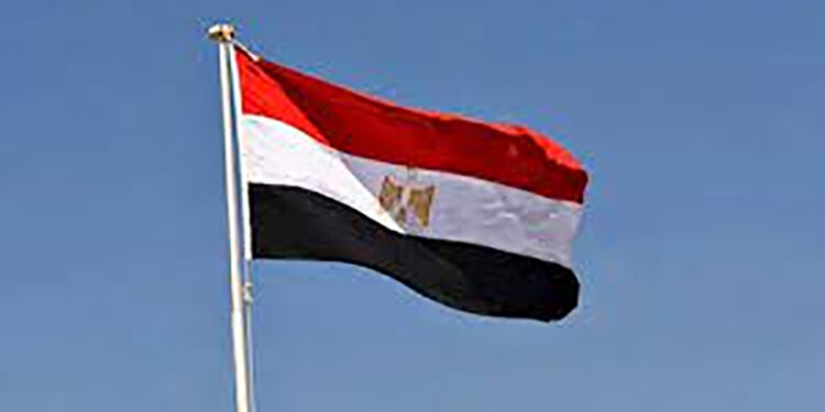 مصــر تدين الهجوم الإرهابى في النــيجر