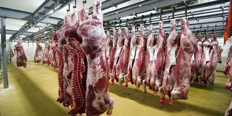 أسعار اللحوم الحمراء اليوم الخميس