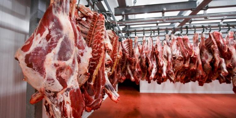 أسعار اللحوم الحمراء اليوم الجمعة