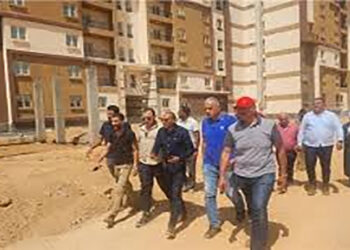 رئيس جهاز مدينة بدر يتفقد المشروعات السكنية ورفع الكفاءة بعددٍ من المناطق  
