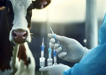 “الزراعة” تواصل جهودها لضمان جودة اللقاحات البيطرية وحماية الثروة الحيوانية خلال عيد الأضحى