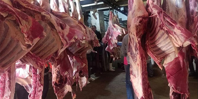 أسعار اللحوم الحمراء اليوم السبت