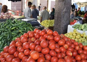 أسعار الخضار والفاكهة اليوم الجمعة