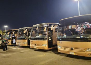 التضامن الاجتماعي: استلام 283 حافلة مطابقة للمواصفات الفنية استعداداً لتصعيد الحجاج إلى عرفات