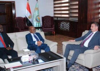 وزير الزراعة يبحث مع خبيرين دوليين تعزيز استراتيجيات التنمية الزراعية والأمن الغذائي في مصر