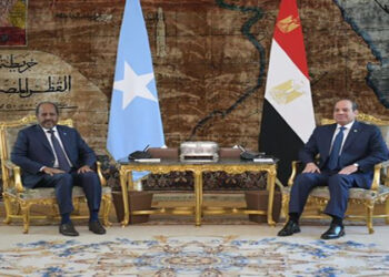 الرئيس السيسى يناقش مع نظيره الصومالى مشاركة مصر العسكرية فى بعثة الاتحاد الأفريقى