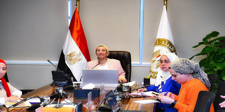 وزيرة البيئة تناقش نظيرها النرويجي آخر مستجدات التفاوض للوصول لمعاهدة دولية للحد من التلوث البلاستيكي