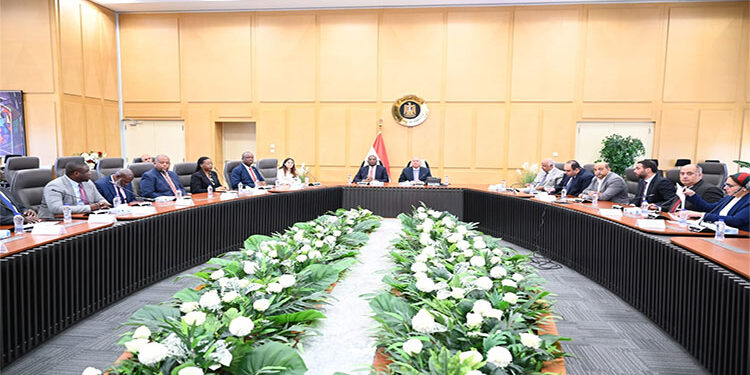 وزير الصناعة والنقل يعقد جلسة مباحثات هامة مع نائب رئيس مجلس الوزراء بالكونغو الديمقراطية