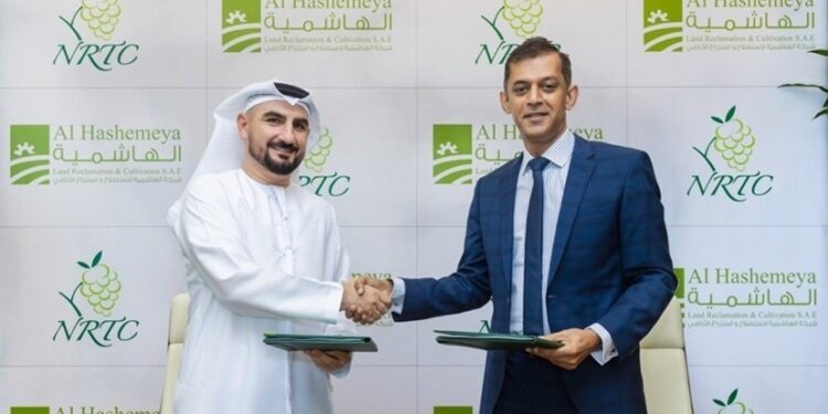 “إن آر تي سي” تستحوذ على مزارع الهاشمية في مصر لتعزيز الأمن الغذائي الإقليمي