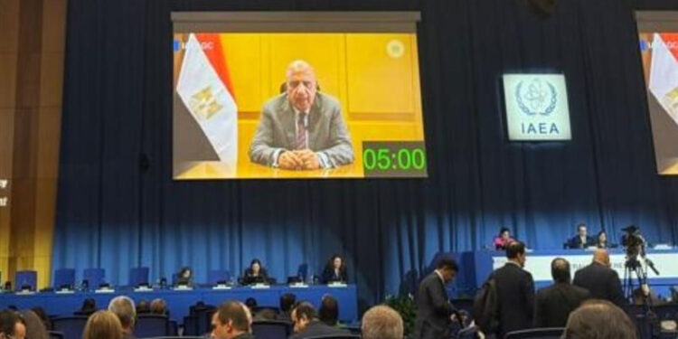 وزير الكهرباء: الاستخدامات السلمية للطاقة الذرية حقٌ أصيل لجميع الدول