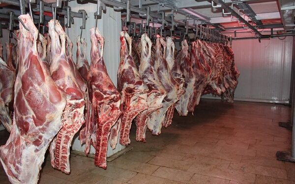 أسعار اللحوم في مصر اليوم الأحد