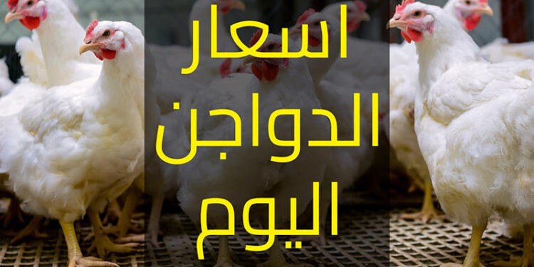 أسعار الدواجن والبيض في مصر اليوم الاربعاء