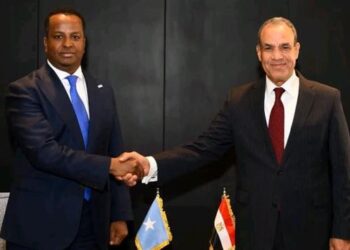 وزير الخارجية يبحث مع نظيره الصومالي تعزيز الشراكة الاستراتيجية بين البلدين