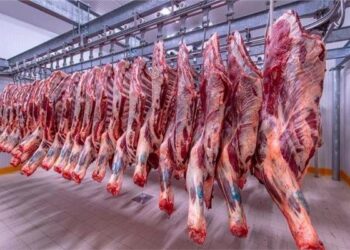 أسعار اللحوم في مصر اليوم السبت
