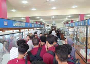 تطوير التعليم بالوزراء: زيارة تعليمية لطلاب معهد الكوزن المصري الياباني إلى المتحف الجيولوجي المصري